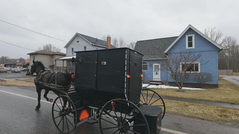 Horse and Buggy – Bild: Law&Crime