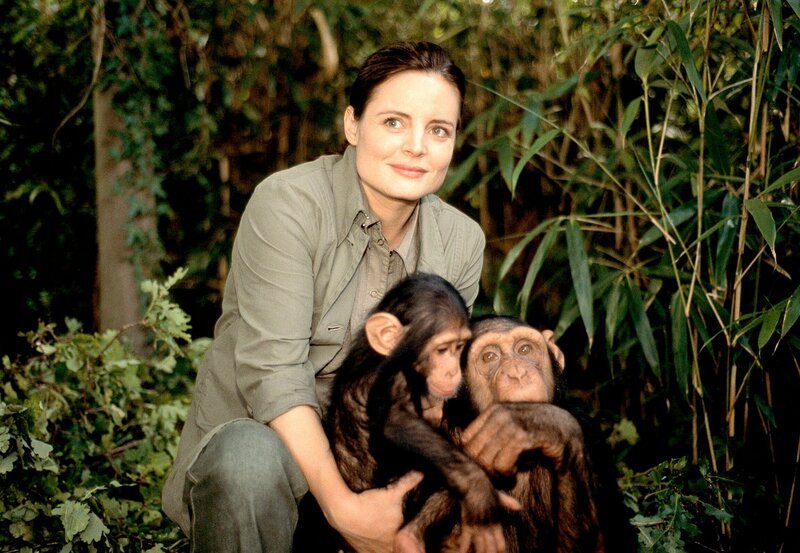 Dr. Susanne Mertens (Elisabeth Lanz) mit den Schimpansen, ihren besonderen Schützlingen. – Bild: BR/​ARD/​Christa Köfer