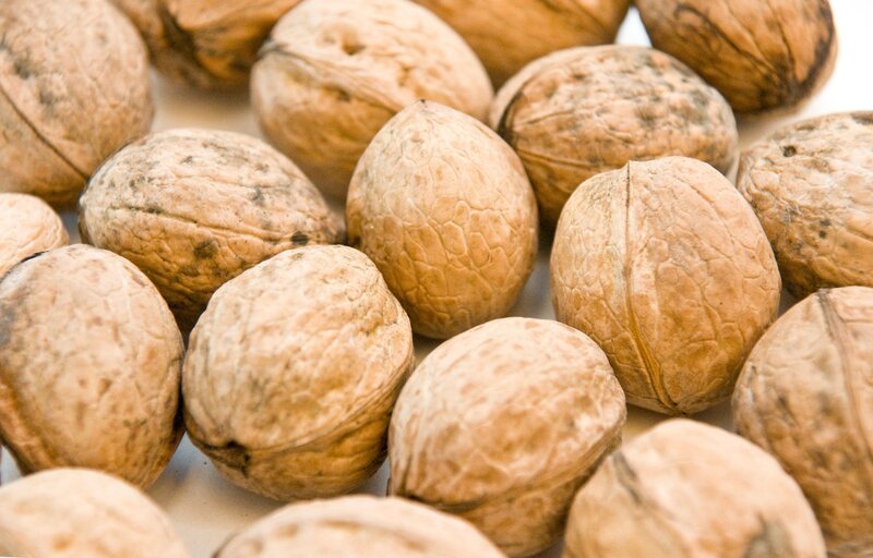 Die Frucht der Walnuss kennt jedes Kind – spätestens an Weihnachten ist sie allgegenwärtig. Die Walnuss ist aber auch ein gesundes Nahrungsmittel. – Bild: BR/​Natasha Heuse