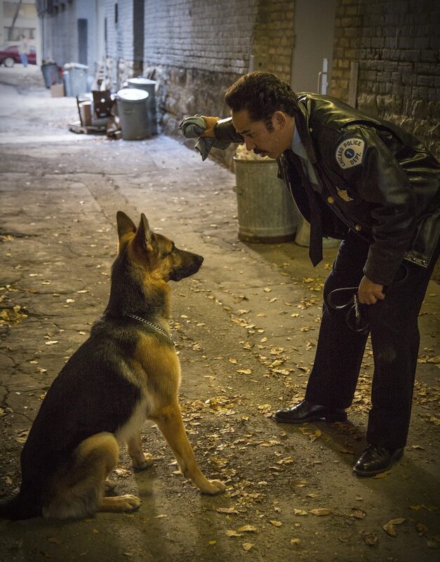 Bailey - Ein Freund fürs Leben – Bild: PLURIMEDIA /​ Metropolitan Filmexport /​ Amblin Entertainment /​ Storyteller Distribution /​ Walden Media