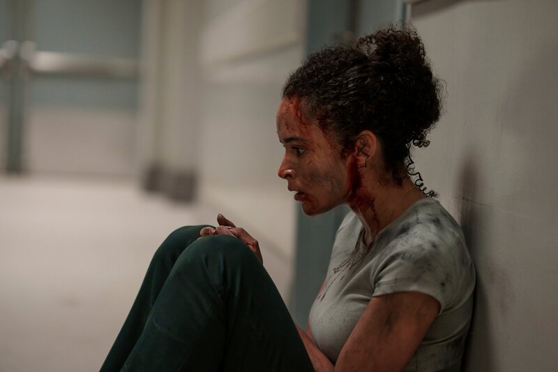 Juliana Canfield as Janine Harris – Bild: Peacock TV LLC