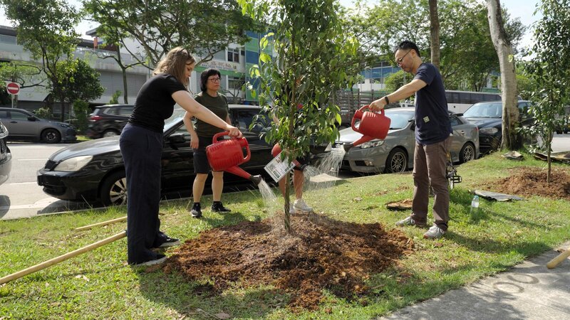 Im Rahmen des „City in a Garden“ Projekts pflanzt Isabella Purkart gemeinsam mit zwei freiwilligen Helfern einen Baum in Singapur. – Bild: ORF