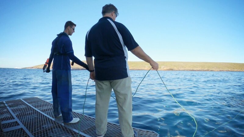 . – Bild: Warner Bros. Discovery