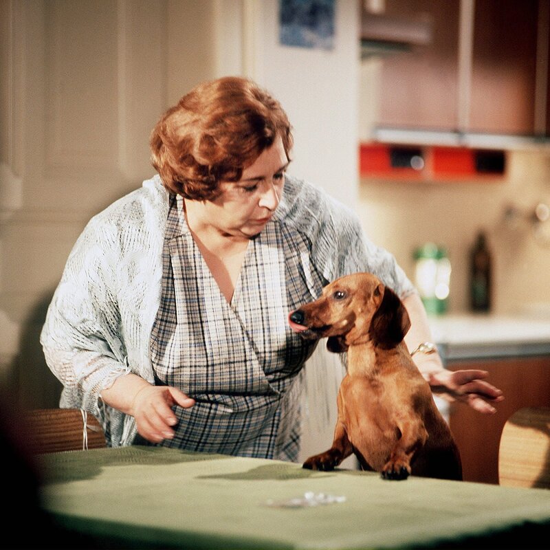 Dieser Dackel behauptet, Frau Maiers (Stella Zazvorkova) Ehemann zu sein. – Bild: WDR/​WDR