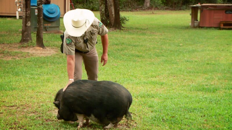 Game Warden. – Bild: DMAX