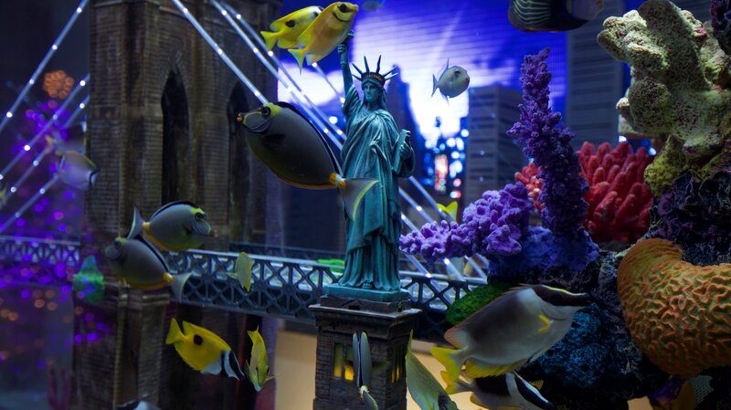 Wayne’s New York themed tank. – Bild: Animal Planet /​ Discovery Communications