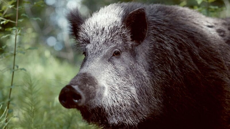 Bild: Cédric Corre/​Galatée Films