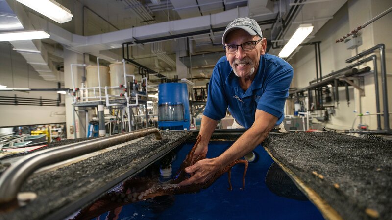 Danny Alexander, Senior Aquarist at Tennessee Aquarium demonstrates the strength and flexibility of an octopus. – Bild: Discovery Communications, LLC