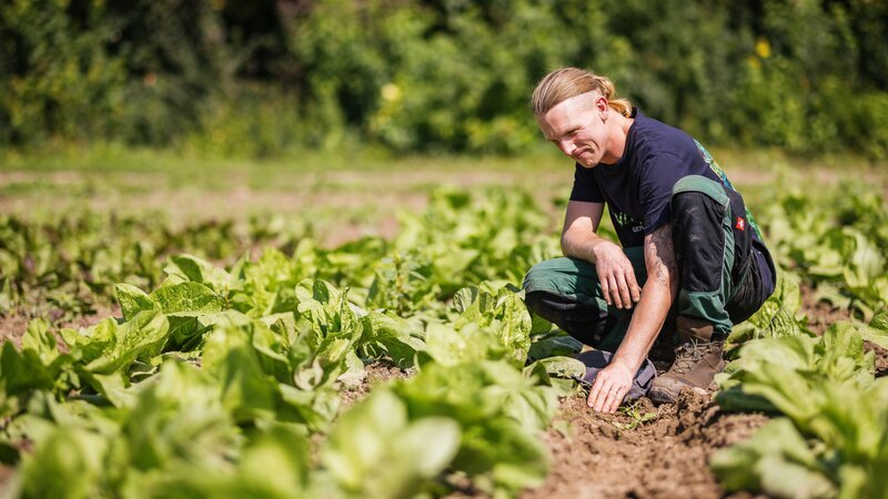 Matthias Kuhn: Biobauer aus Baden-Württemberg. – Bild: Philipp von Ditfurth /​ ZDF