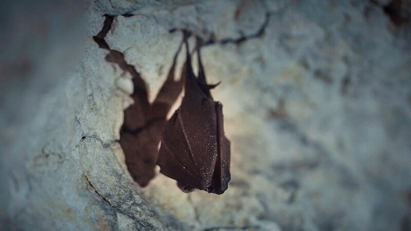 Bild: Laurent Fleutot