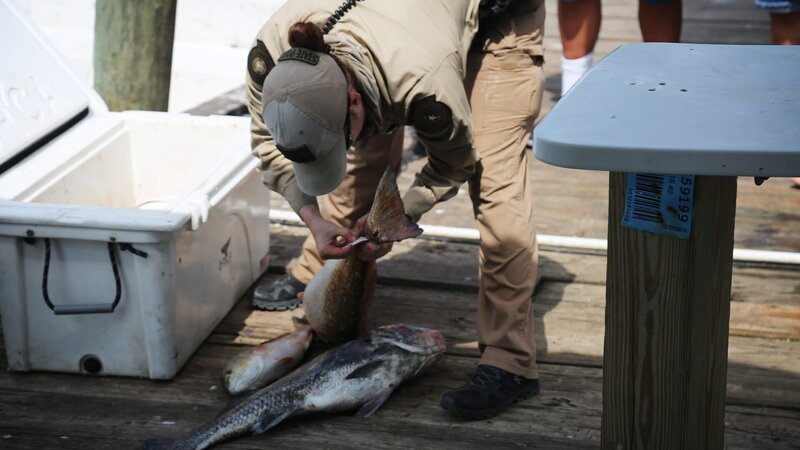 Ira Zuniga inspects fish. – Bild: DMAX