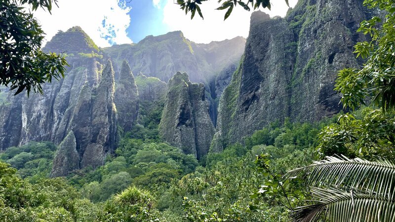 Bild: Untamed Productions Lizenzbild frei