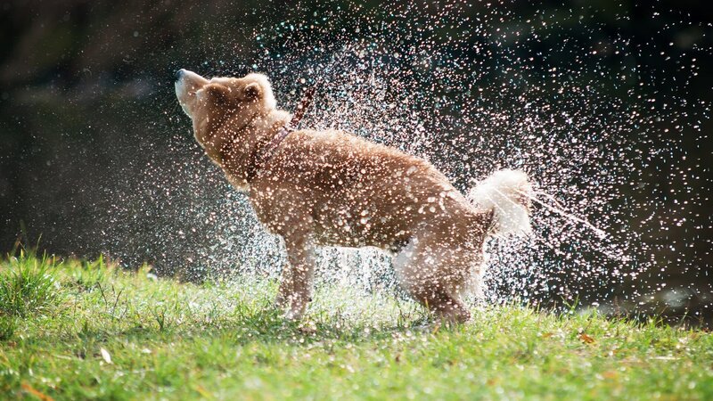 . – Bild: Warner Bros. Discovery