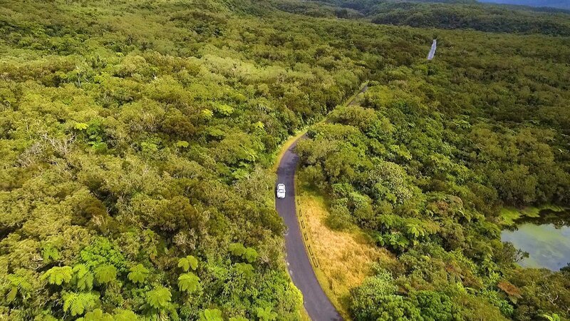 Autofahrt durch die tropischen Wälder La Réunions. – Bild: ORF 2