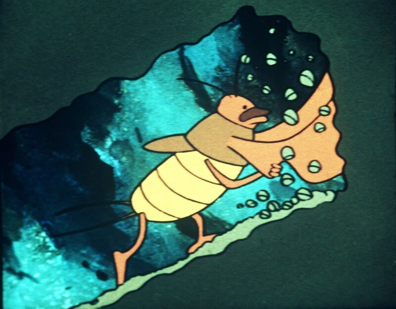 Maja entdeckt ein Feld aus glitzerndem Moos. – Bild: ZDF