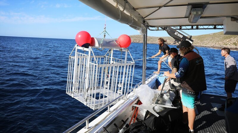 . – Bild: Warner Bros. Discovery