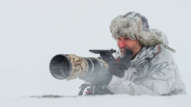 Norwegen - Meine wilde Heimat – Bild: NDR/​Doclights GmbH/​Jorn Stenersen/​Artic Light AS