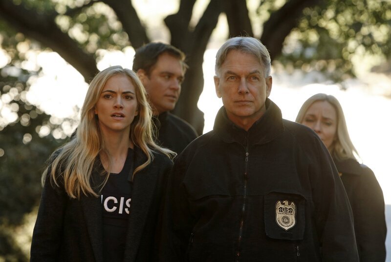 Eine gestohlene Drohne führt Bishop (Emily Wickersham, vorne l.) und Gibbs (Mark Harmon, vorne r.) zu dem skrupellosen Terrorist Parsa … – Bild: CBS Television