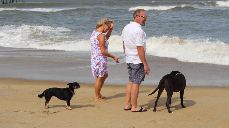 Contributors John Valerius (R) and Tracy Ziegler (L) take in the beautiful waves on the beach in Kill Devil Hills, North Carolina with their dogs as seen on HGTV’s Beachfront Bargain Hunt. – Bild: HGTV /​ Scripps (Focus)