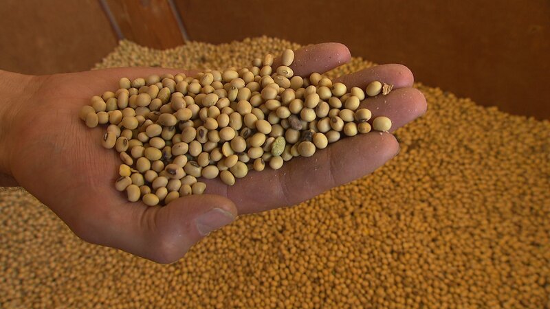 . – Bild: Marco Polo TV