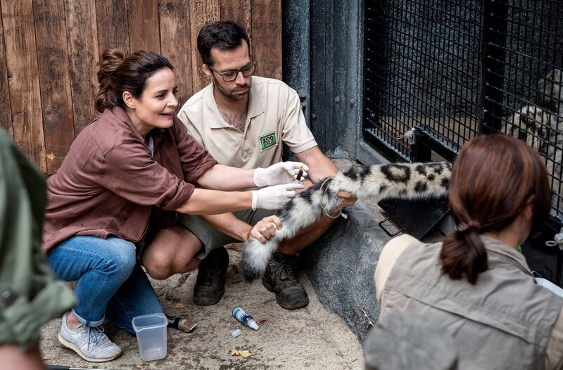 Die freie Tierärztin Dr. Susanne Mertens (Elisabeth Lanz, l. mit Komparsen) unterstützt das Team (Komparsen) im Leipziger Zoo: Schneeleopard Azamat muss Blut abgenommen werden. Susanne ist beeindruckt, wie gut das Raubtier trainiert ist. – Bild: ARD/​Steffen Junghans