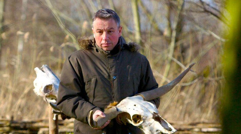 Professor Wemhoff mit einem Tierschädel: Kultplatz /​ Opfermoor der Germanen um das Jahr 0 – Bild: phoenix/​ZDF