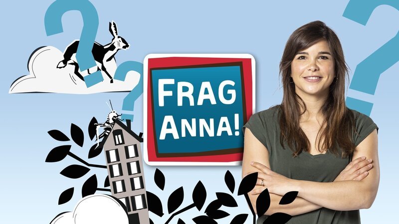Key Visual Sendereihenbild mit Typo zu „Frag Anna!“ Kinder haben viele Fragen und die Natur bietet ihnen spannende und oft unerwartete Antworten darauf. – Bild: Markus Konvalin, Thomas Murmann
