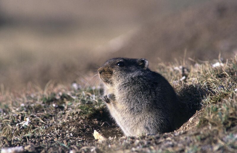 Im Bann der Drachenberge – Bild: 3sat
