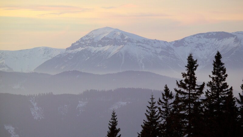 Die Landschaft im Süden Niederösterreichs ist geprägt von den letzten Ausläufern der Alpen. Dieser filmische Streifzug präsentiert die „Sonnenberge“ mit ihrer vielfältigen Natur und Kultur – ein umfassendes Porträt dieses Lebensraumes und seiner Bewohner. Der eine züchtet „Alpenlachse“, der andere „hat Pech“: Hier gewinnen Bauern im Nebenerwerb als „Pecher“ auf traditionelle Weise das Harz der Schwarzkiefer – für Kosmetikprodukte, Terpentinöl sowie Kolophonium für Instrumentensaiten. In der Region zwischen Rax und Buckliger Welt finden sich auch die Hausberge der Wiener: Für viele Erholung Suchende und Extremsportler, Naturliebhaber und Kulturfreunde liegt dieses Paradies praktisch vor der Haustür. – Bild: 3sat
