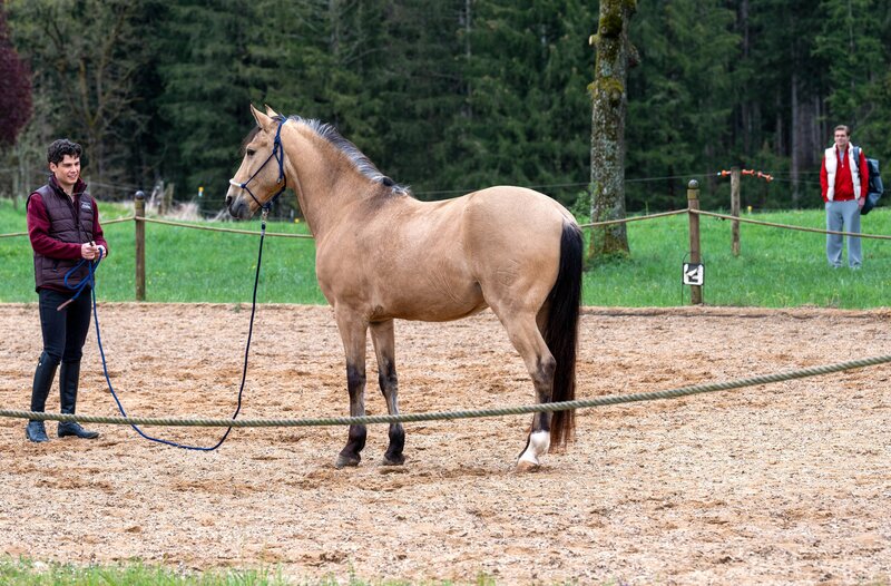 Elias (Orlando Lenzen, l.) begreift belustigt, dass Leo (Aurel Klug, r.) Angst vor Pferden hat. – Bild: ARD/​WDR/​Thomas Neumeier