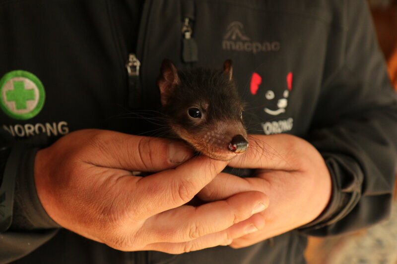 . – Bild: Marco Polo TV