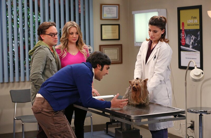 Während Sheldon und Amy einen Abend in einem original restaurierten Zug von 1915 verbringen, müssen Raj (Kunal Nayyar, 2.v.r.), Penny (Kaley Cuoco, 2.v.l.) und Leonard (Johnny Galecki, l.) mit Hündchen Cinnamon zum Tierarzt. Raj ist von der Ärztin (Tania Raymonde, r.) auf Anhieb begeistert … – Bild: © Warner Brothers