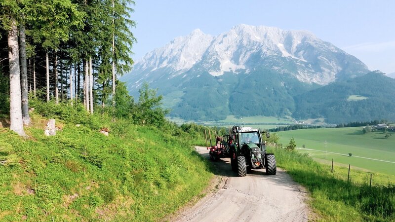 Florian und sein Schwiegervater Harald holen Holz für ihr neues Projekt – den Bauernladen im alten Mesnerhäusl. – Bild: ORF/​locustmedia Filmproduktions GmbH
