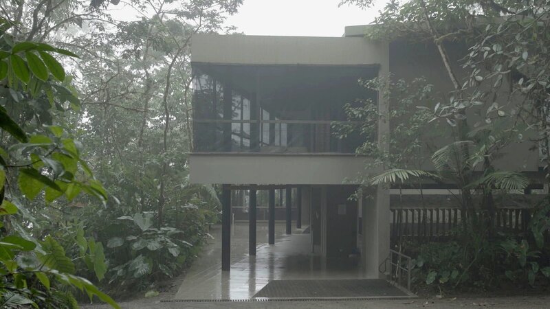 Mashpi Lodge   Die Verwendung des sendungsbezogenen Materials ist nur mit dem Hinweis und Verlinkung auf RTL+ gestattet.; Mashpi Lodge   Die Verwendung des sendungsbezogenen Materials ist nur mit dem Hinweis und Verlinkung auf RTL+ gestattet. – Bild: RTL /​ Windfall Films