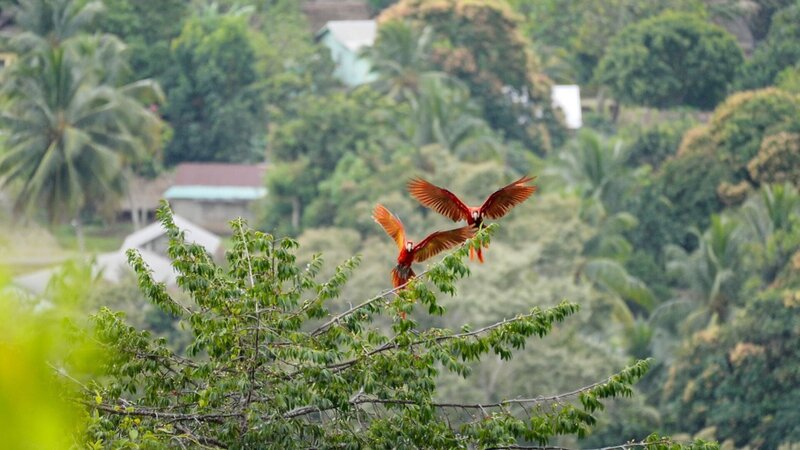 Bild: WEST ONE INTERNATIONAL LIMITED