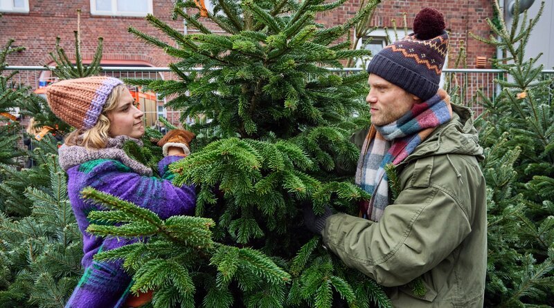 Nora (Morgane Ferru, li.) und Bent (Anton Spieker, re.) streiten um den perfekten Weihnachtsbaum. – Bild: ARD Degeto Film/Georg Wendt Nora (Morgane Ferru, li.) und Bent (Anton Spieker, re.) streiten um den perfekten Weihnachtsbaum. – Bild: ARD Degeto Film/Georg Wendt