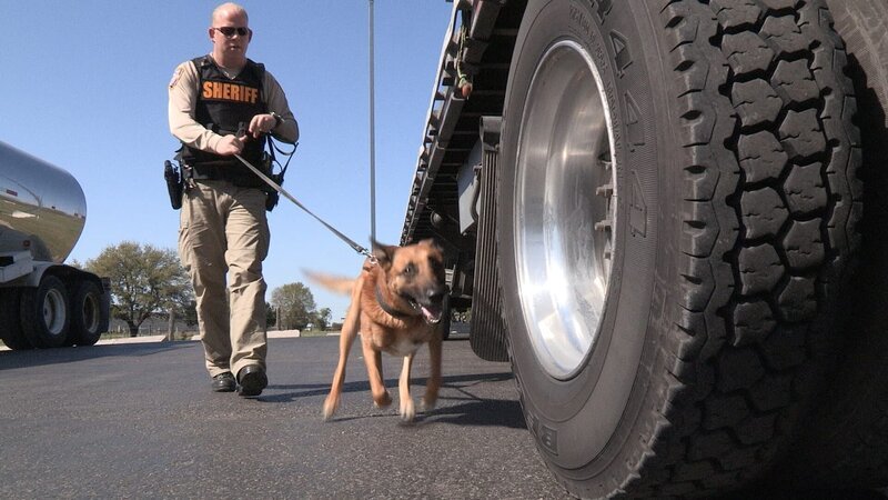 Standort: Houston, USA: Polizei mit Drogenspürhund. – Bild: Wall to Wall Media /​ National Geographic Channels