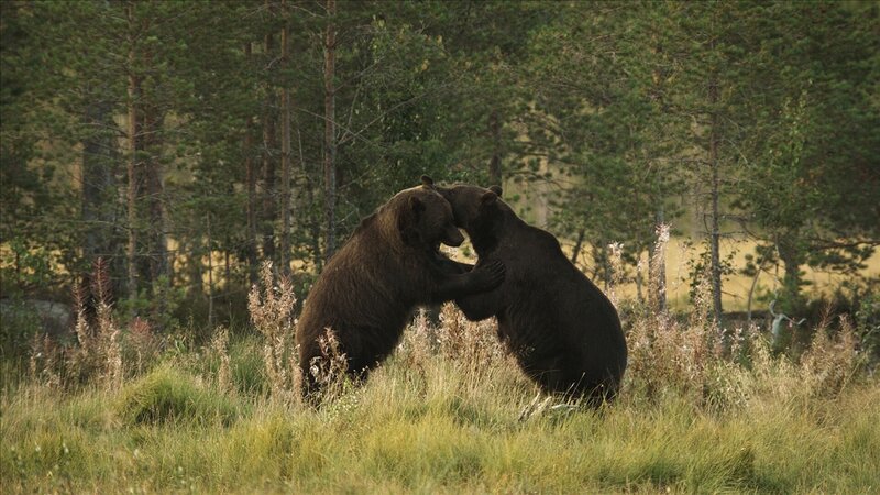 Bild: Alexandra & Steffen Sailer