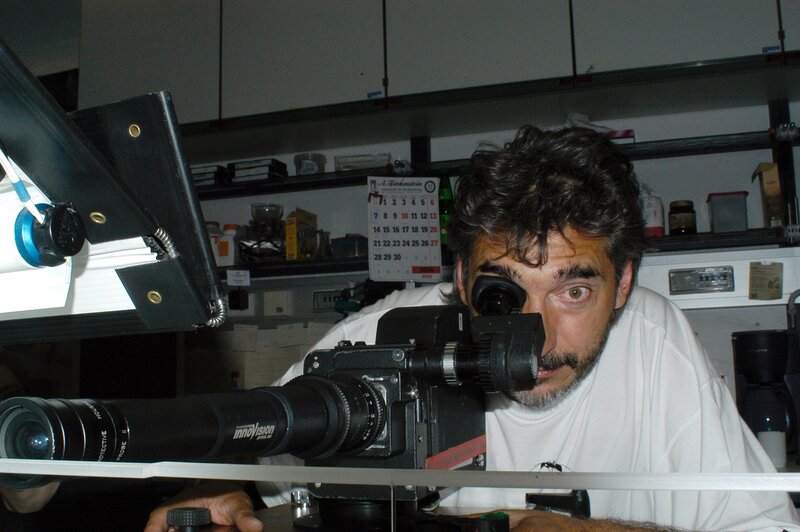 Ameisen - Die heimliche Weltmacht – Bild: 3sat