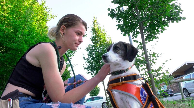 Hundeliebe – Bild: BR/​Ralph-Jürgen Schoenheinz