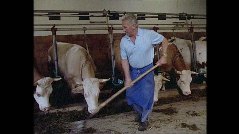 Landwirt Karl Amslinger aus Gunzenhausen hat mit 54 Jahren seinem Sohn Kurt den Hof übergeben und lebt seitdem im Austrag. Über Rechte und Pflichten, Zusammenleben und Konflikte berichten er und sein Sohn 1991 in dem Film aus der Reihe „Lebenslinien“. – Bild: BR