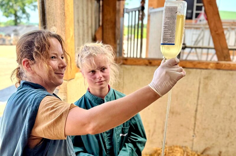 Bild: NDR/​Sven Kiesche