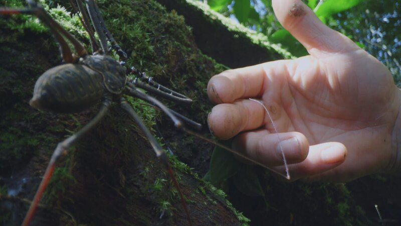 Bild: National Geographic