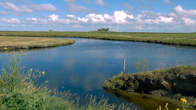 Sommertag auf Hooge. – Bild: NDR