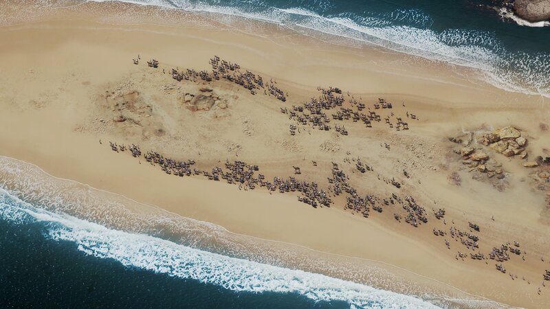 Die Israeliten gehen über den freigelegten Meeresgrund. – Bild: National Geographic