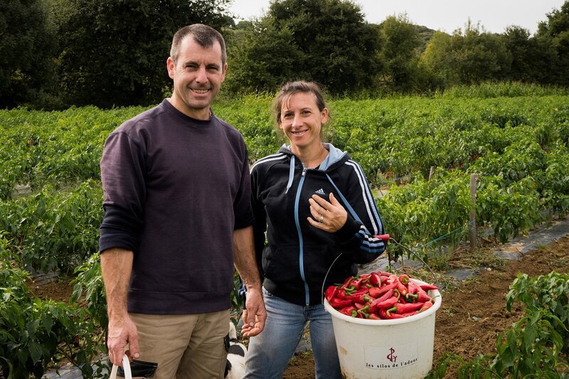Zu Tisch Aquitaine – Frankreich Thierry und Marie-Laure Hiriart ernten Gorria-Schoten. – Bild: SRF/​Berlin Producers/​Dieter Stürmer