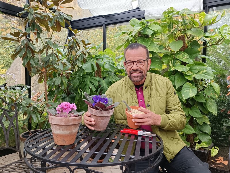 Die weiß blühenden Christrosen sind seit einigen Jahren absolut im Trend. Karl Ploberger stellt die schönsten Sorten vor. – Bild: Leopold Mayrhofer/​Natur im Garten