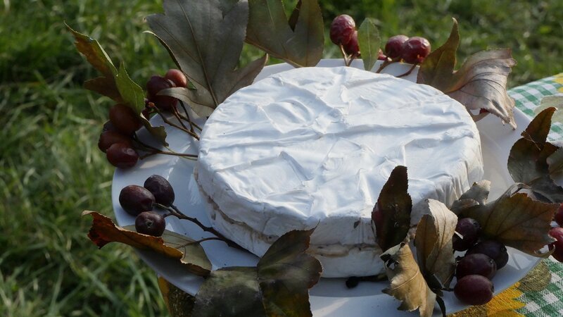 Zu Tisch Wienerwald – Österreich Camelsbert: Ein mit Elsbeercreme gefüllter Camembert – Bild: SRF/​Berlin Producers/​Dieter Stürmer