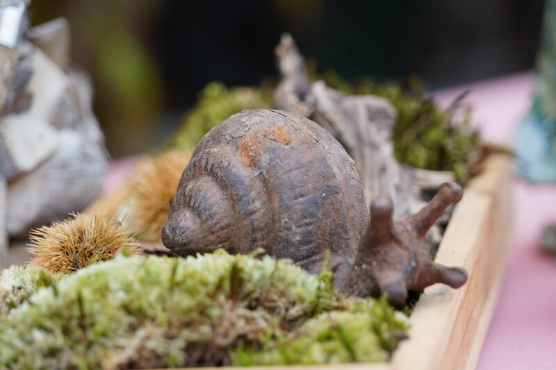 Aus einem ehemaligen Acker ist über die letzten Jahrzehnte ein Traumgarten geworden. Das Paradies von Gabriela und Helmut Hirschmüller liegt im niederösterreichischen Wölbling. Das Besondere: in den Baumkronen versteckt sich eine eigene Sternwarte. Neben einem Naturteich, Staudenbeeten und vielen Sitzplätzen gibt es auch einen Gartenteil, der als Wald angelegt ist. – Bild: Leopold Mayrhofer/​Natur im Garten