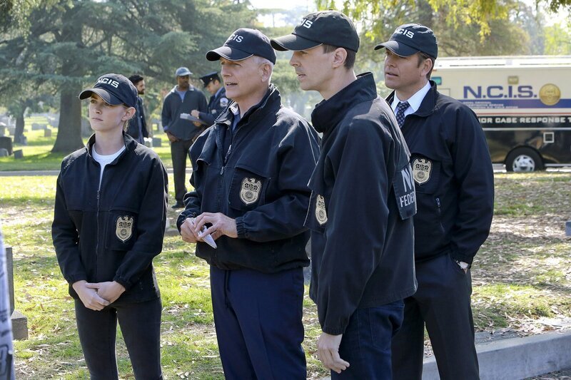 Müssen einen neuen Fall aufdecken: Bishop (Emily Wickersham, l.), Gibbs (Mark Harmon, 2.v.l.), McGee (Sean Murray, 2.v.r.) und Tony (Michael Weatherly, r.) … – Bild: PLURIMEDIA (CBS Broadcasting Inc.)